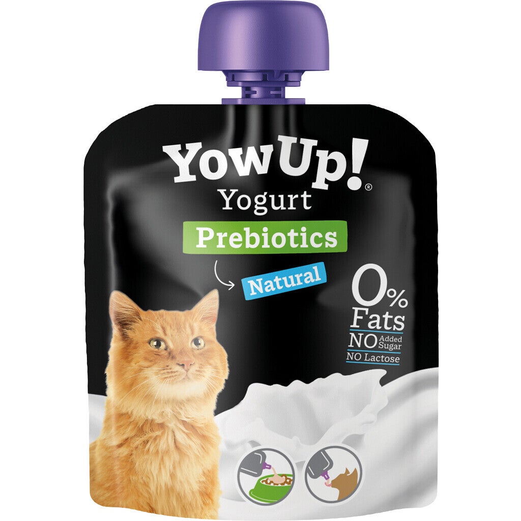 Yaourt sans lactose pour chat lot de 10