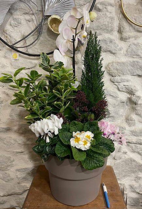 Composition Orchidée