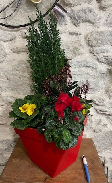 Composition Twist Rouge