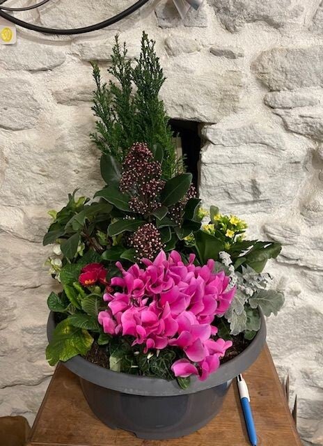 Composition pot gris