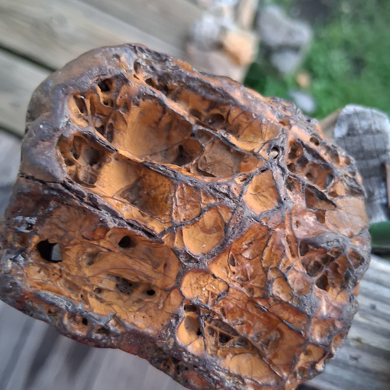 Septarian Nodule/Dragon Stone