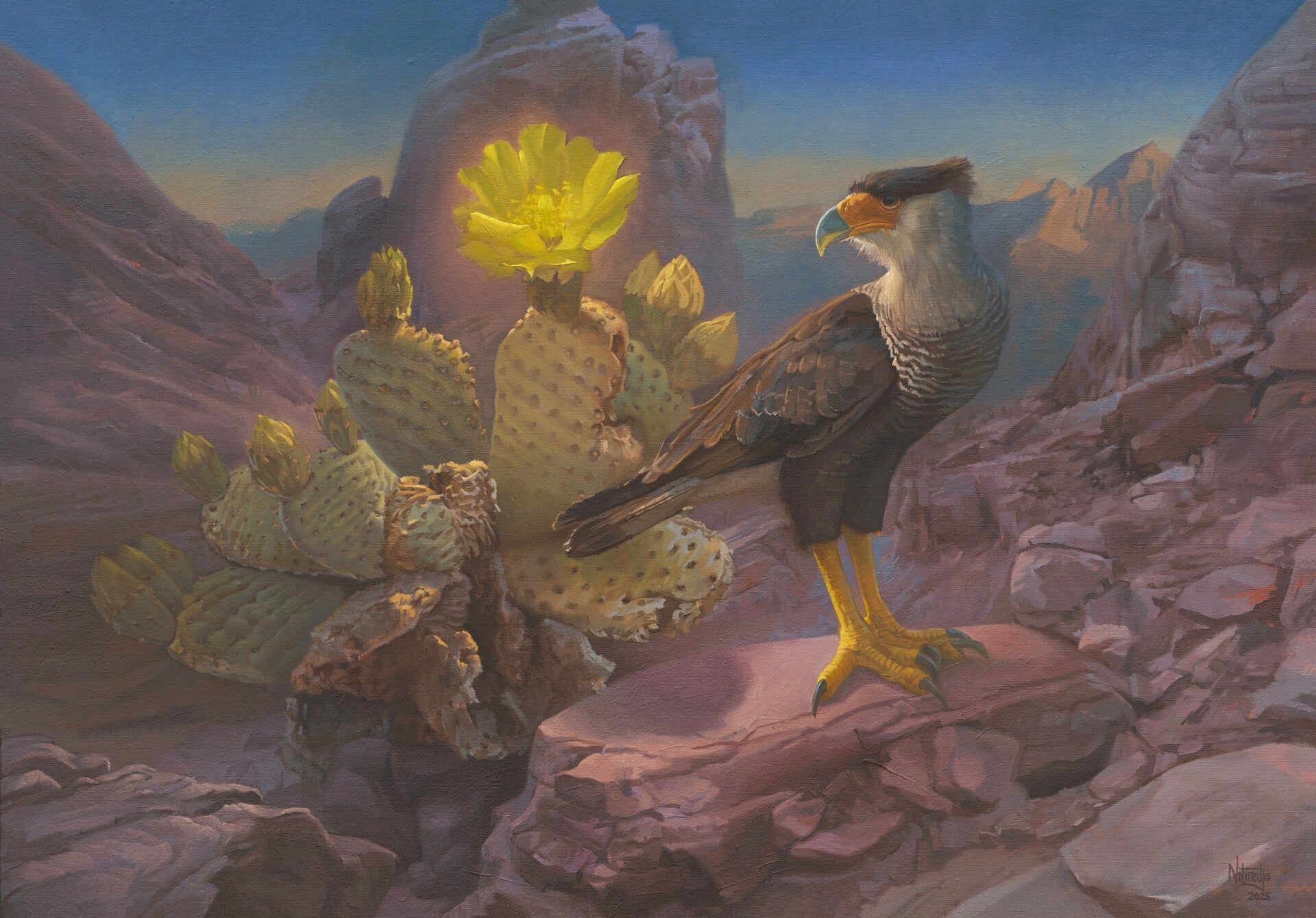 A realistic painting of a crested caracara standing beside a blooming prickly pear cactus in a desert landscape at dusk, with rugged mountains in the background.