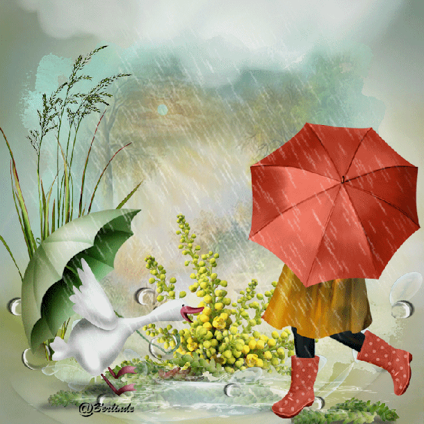 Spring Rain / Lente | PSP lessen Berlinde