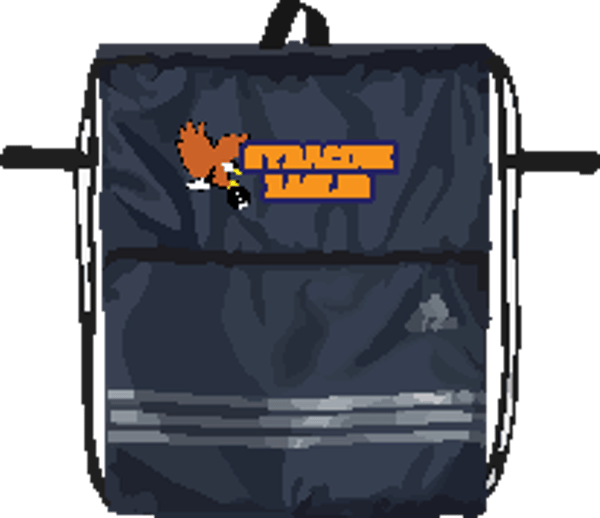 CINTCH BAG LOGO 20.00