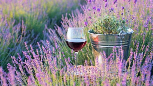 Introductie Proeverij