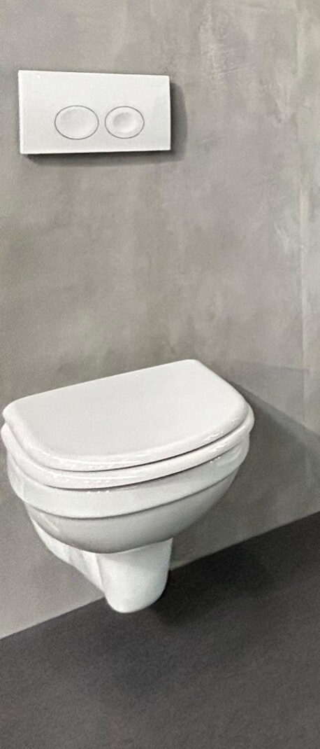 Toilet Trevi one pack incl. softclose zitting & Quick release glans wit