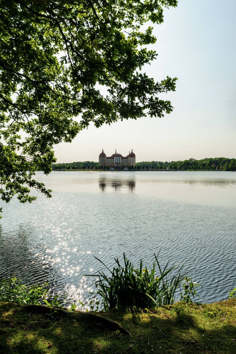 Das Jagdschloss im Gegenlicht