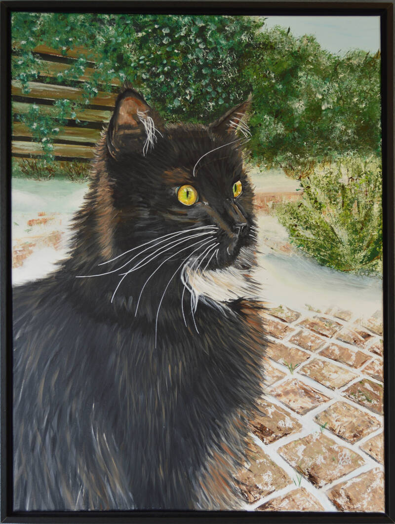 Titel; Kat in sneeuw - acryl op doek - niet te koop