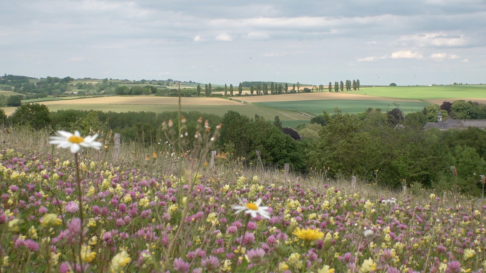 Het mooie Limburg