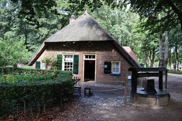 Terug naar Toen