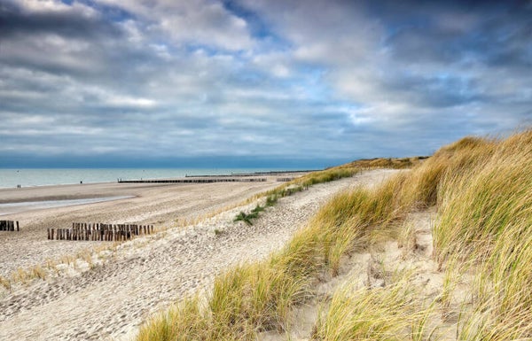Waterland
