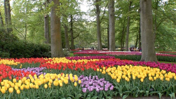 Naar de Bollen, de Keukenhof