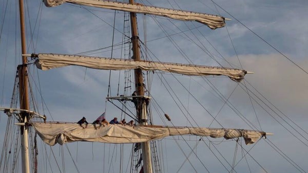 Tall Ships Races 2022, Harlingen