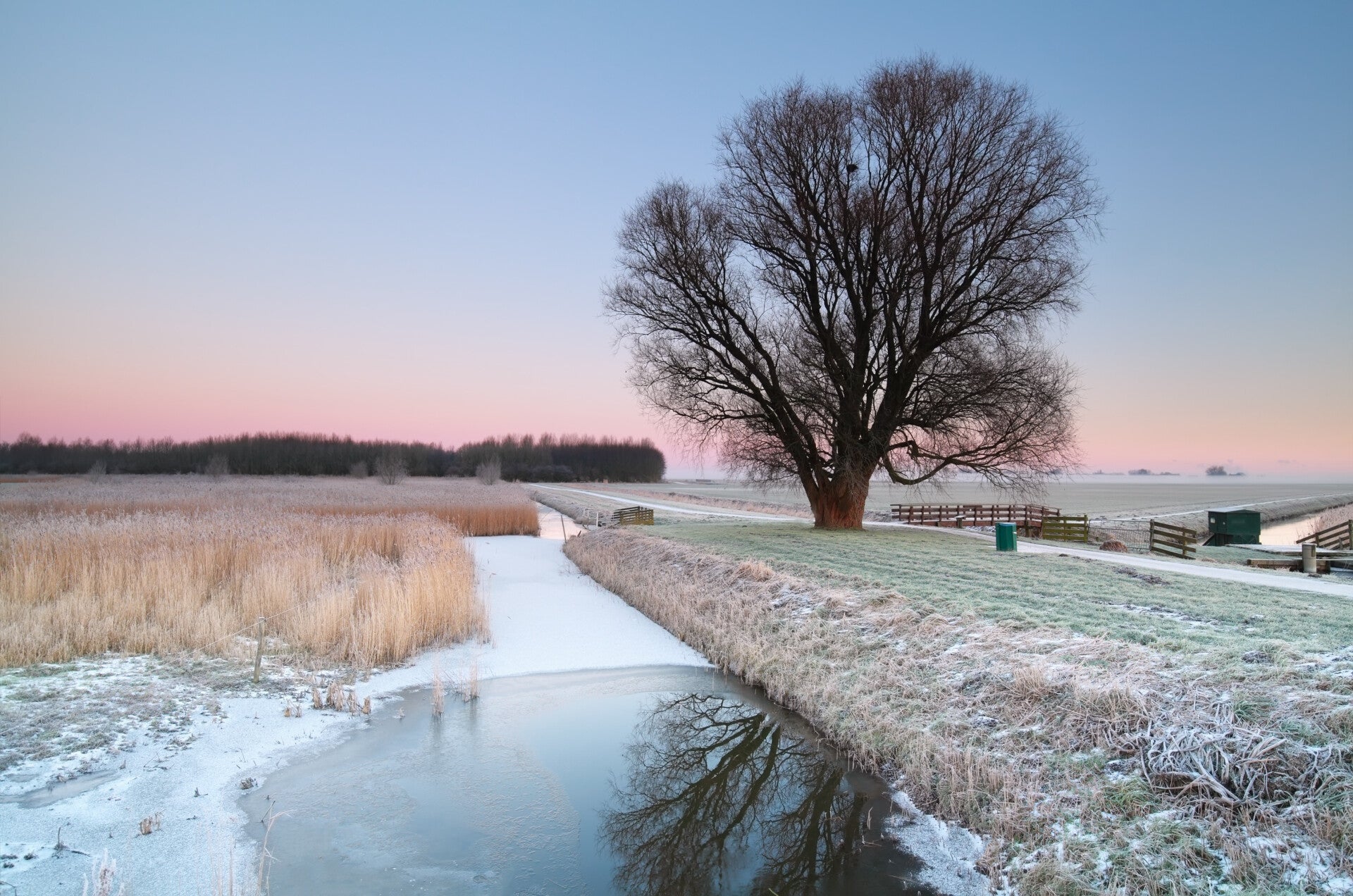 Winter in Holland