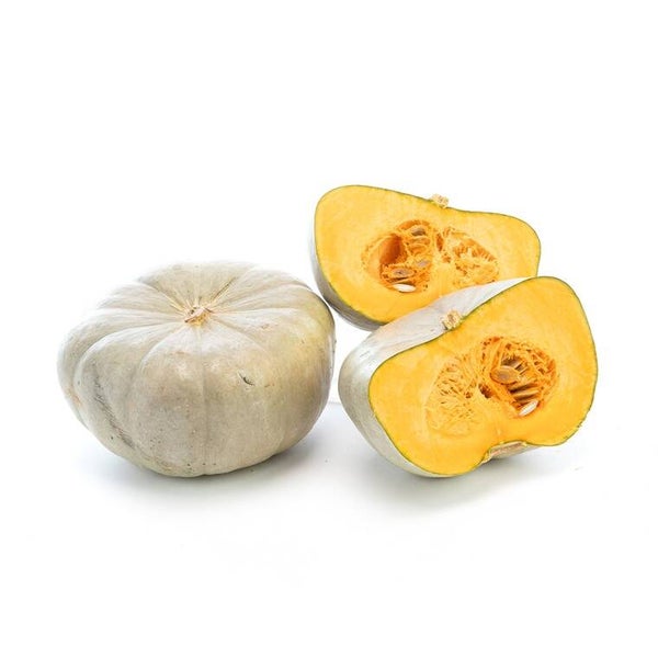 Potiron bleu de Hongrie