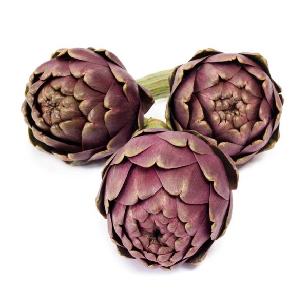 Artichaut violet de provence