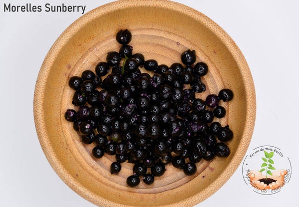 Morelles Sunberry