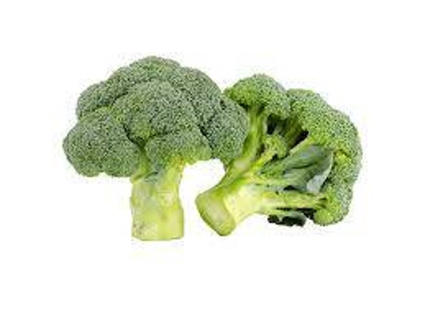 Brocolis vert