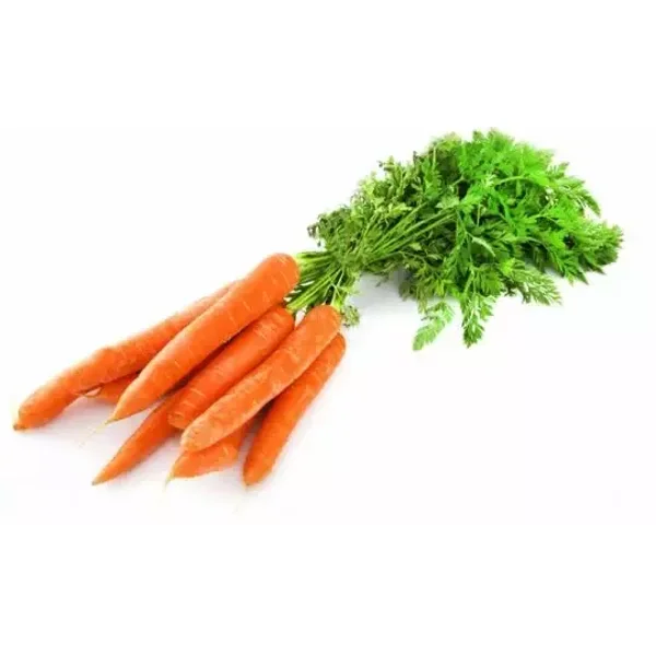 Carottes bottes