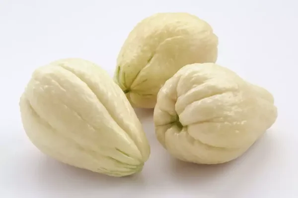 Chayottes blanches