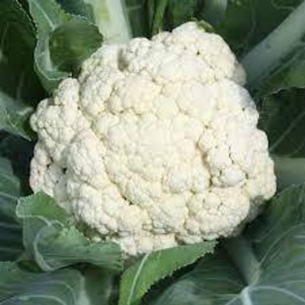 Chou-fleur