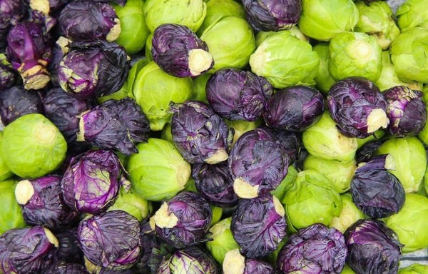Choux de Bruxelles en mélange