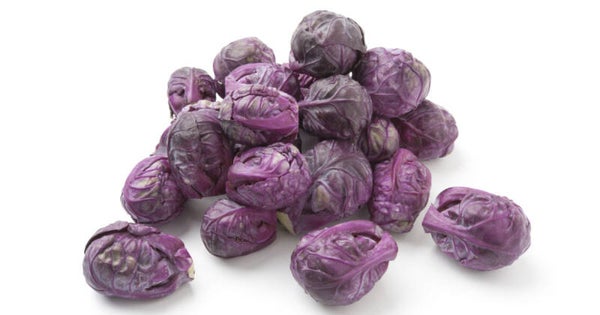 Choux de Bruxelles violets