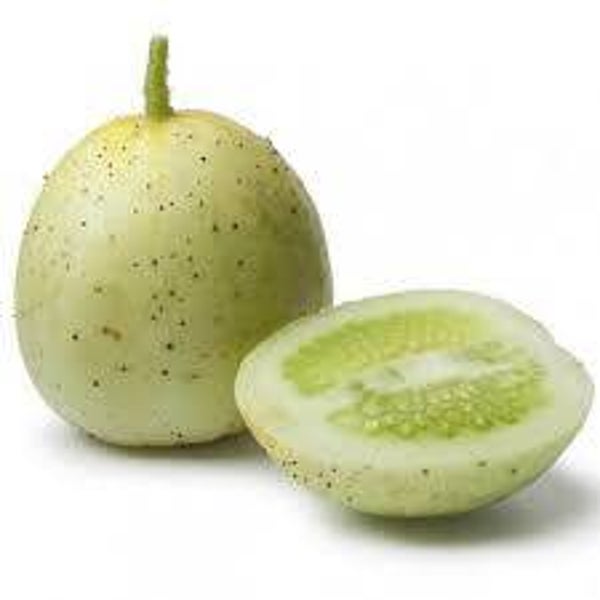 Concombre crystal apple