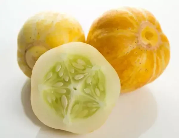 Concombre citron