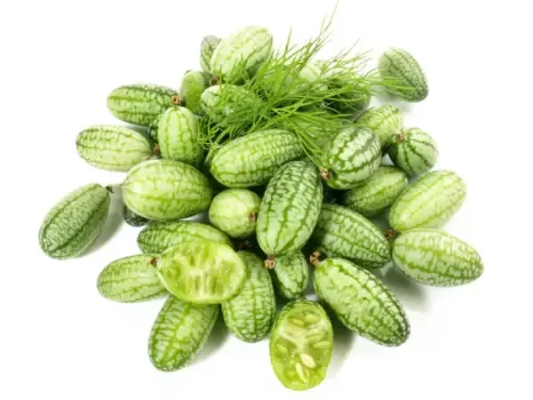 Concombres du Mexique