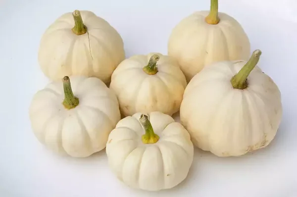 Courge Baby Boo