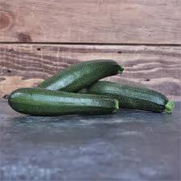 Courgette black beauty
