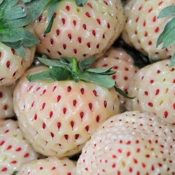 Barquette de fraises Ananas
