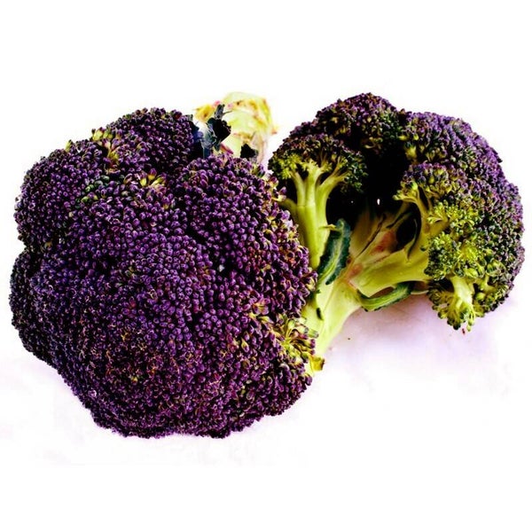 Brocolis violet