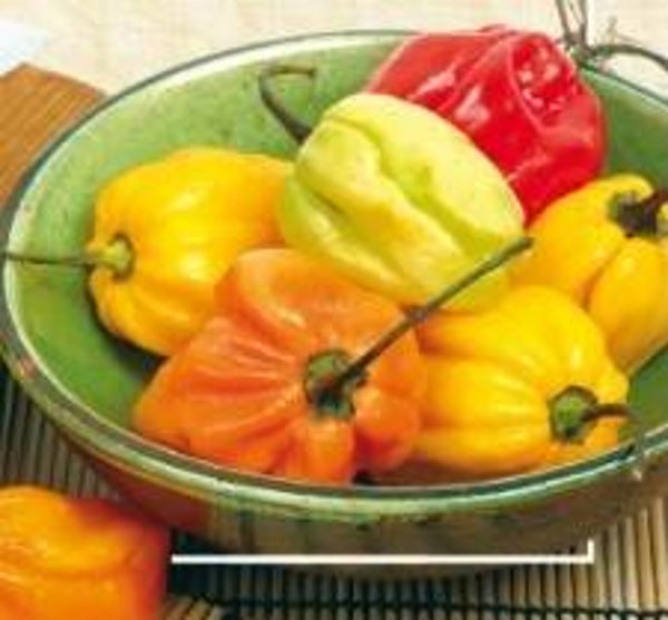 Piment Habanero Mixt (Antillais)