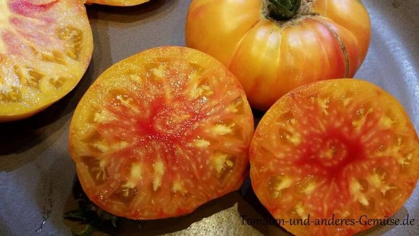 Tomate Hillbilly graines