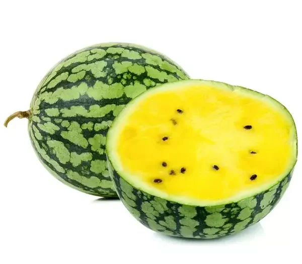 Pastèque Petite Yellow