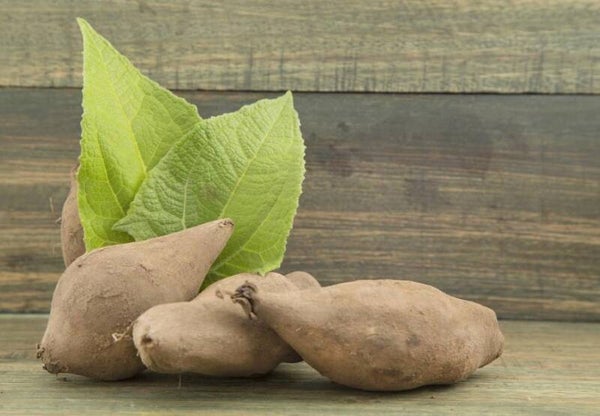 Poire de terre
