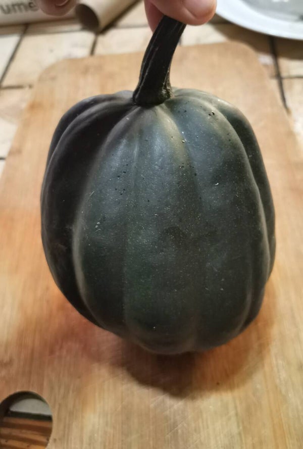 Courge Table acorn noir