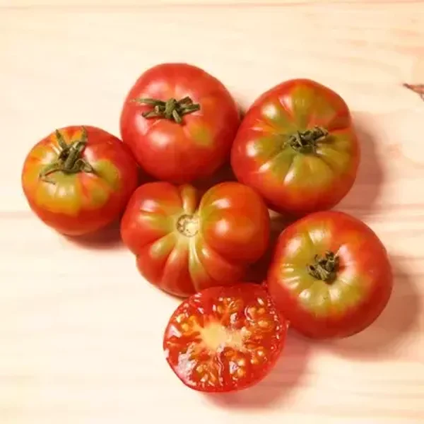 Tomate cerise Immune