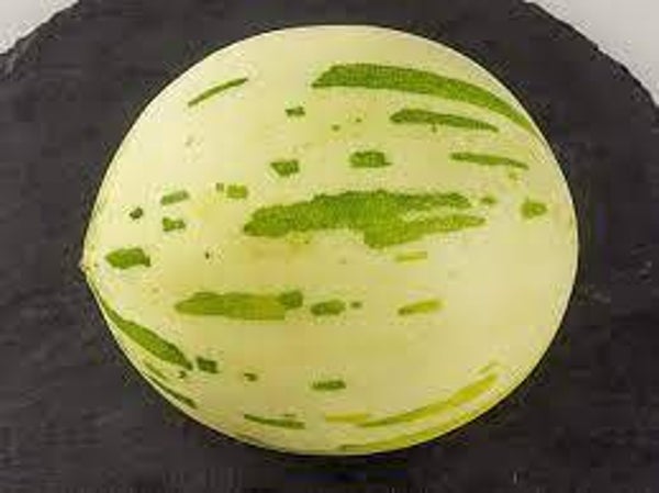 Melon blanc