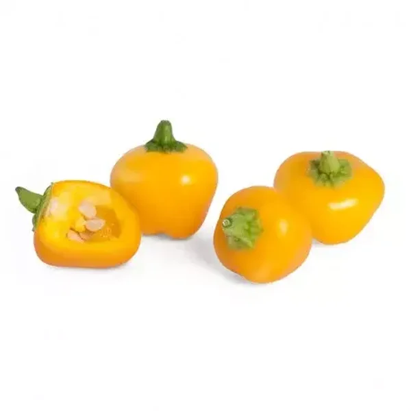 Poivrons Mini Bell jaune, rouge ou chocolat