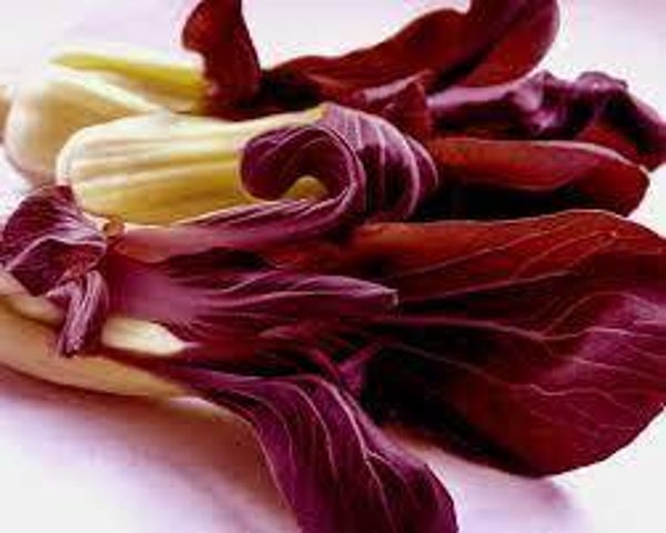 Chou Pak Choi rouge
