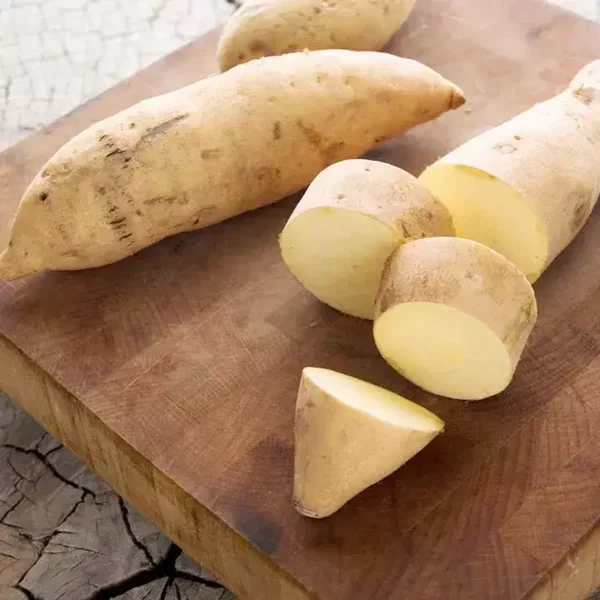 Patate douce Bonita