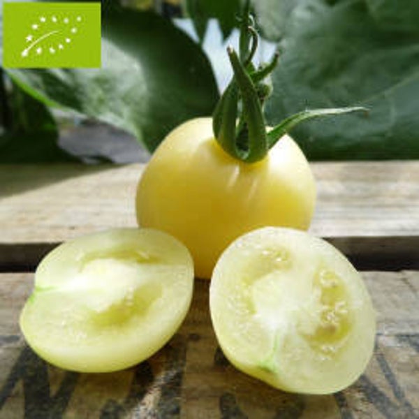 Tomate Pèche Jaune graines