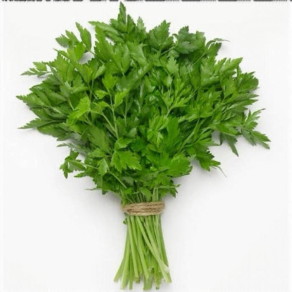 Persil plat