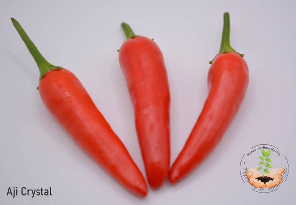 Piment Aji Crystal