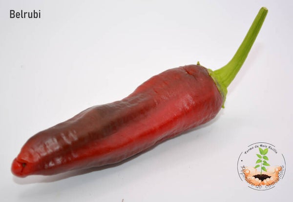 Piment Belrubi