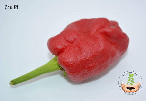 Piment Zoupi