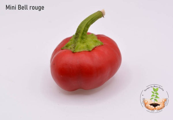 Mini bell rouge